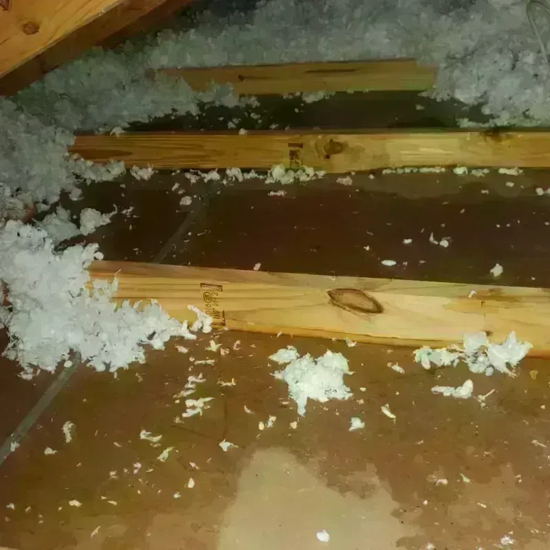 Attic Water Damage in University Heights, NY